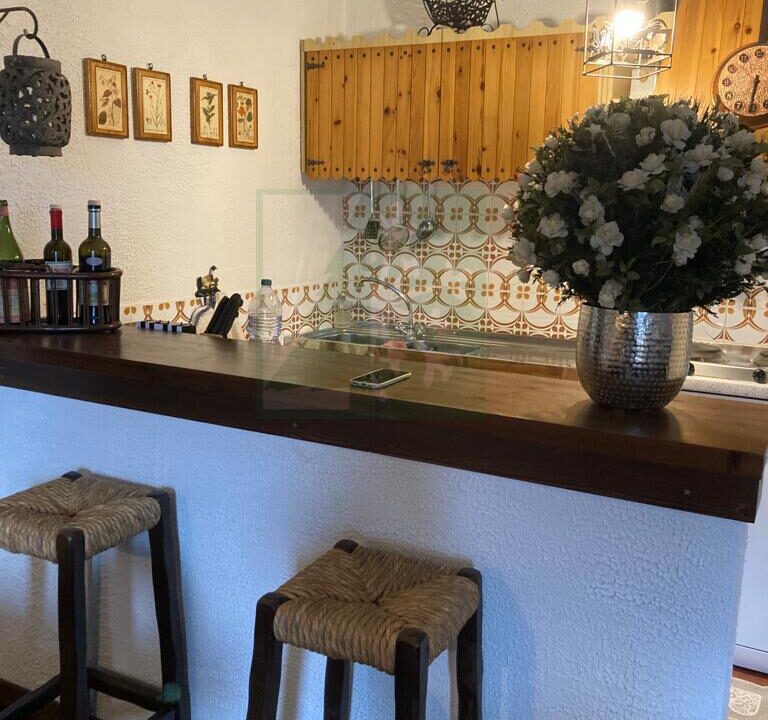 PHOTO-2023-07-28-19-46-42