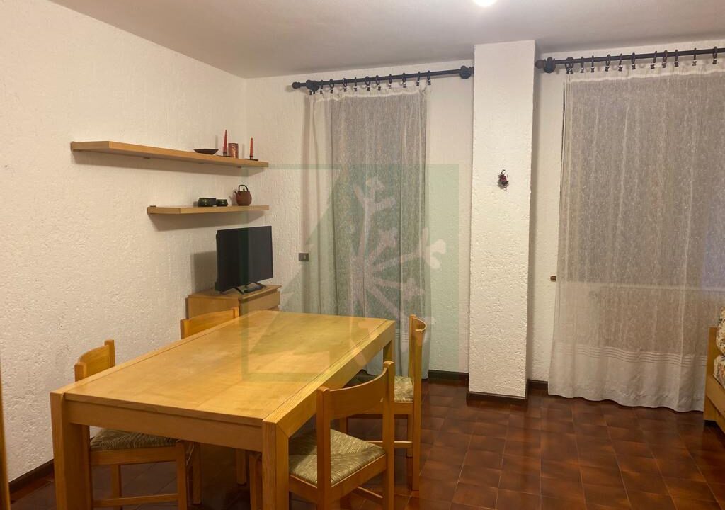 WhatsApp Image 2022-03-09 at 11.16.57 (6)