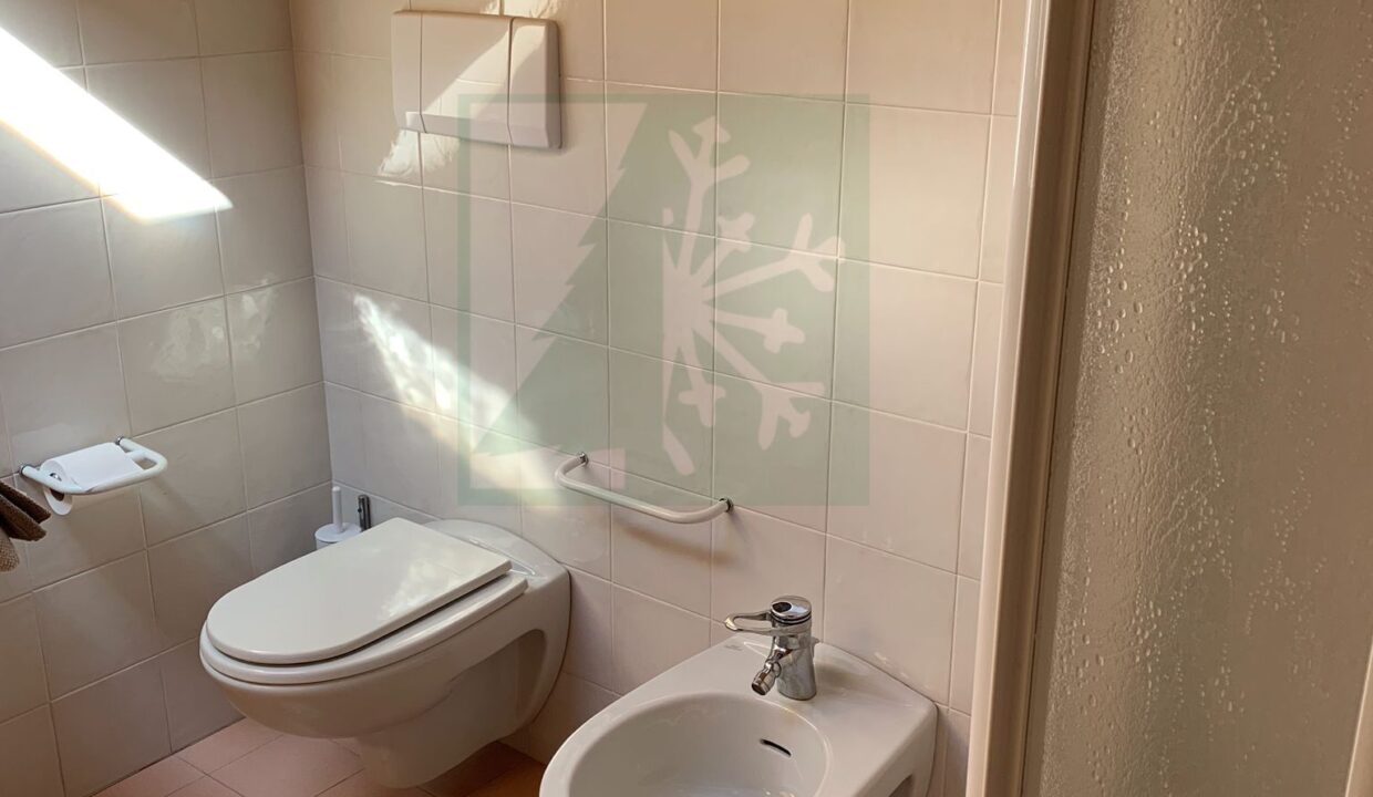 c099df9f-d1c1-4c12-9438-024425768d29