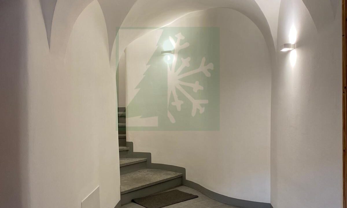 Immagine WhatsApp 2025-05-10 ore 16.05.07_f33ef00b