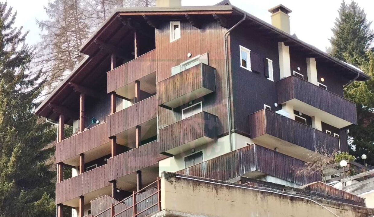 WhatsApp Image 2026-03-03 at 15.23.59