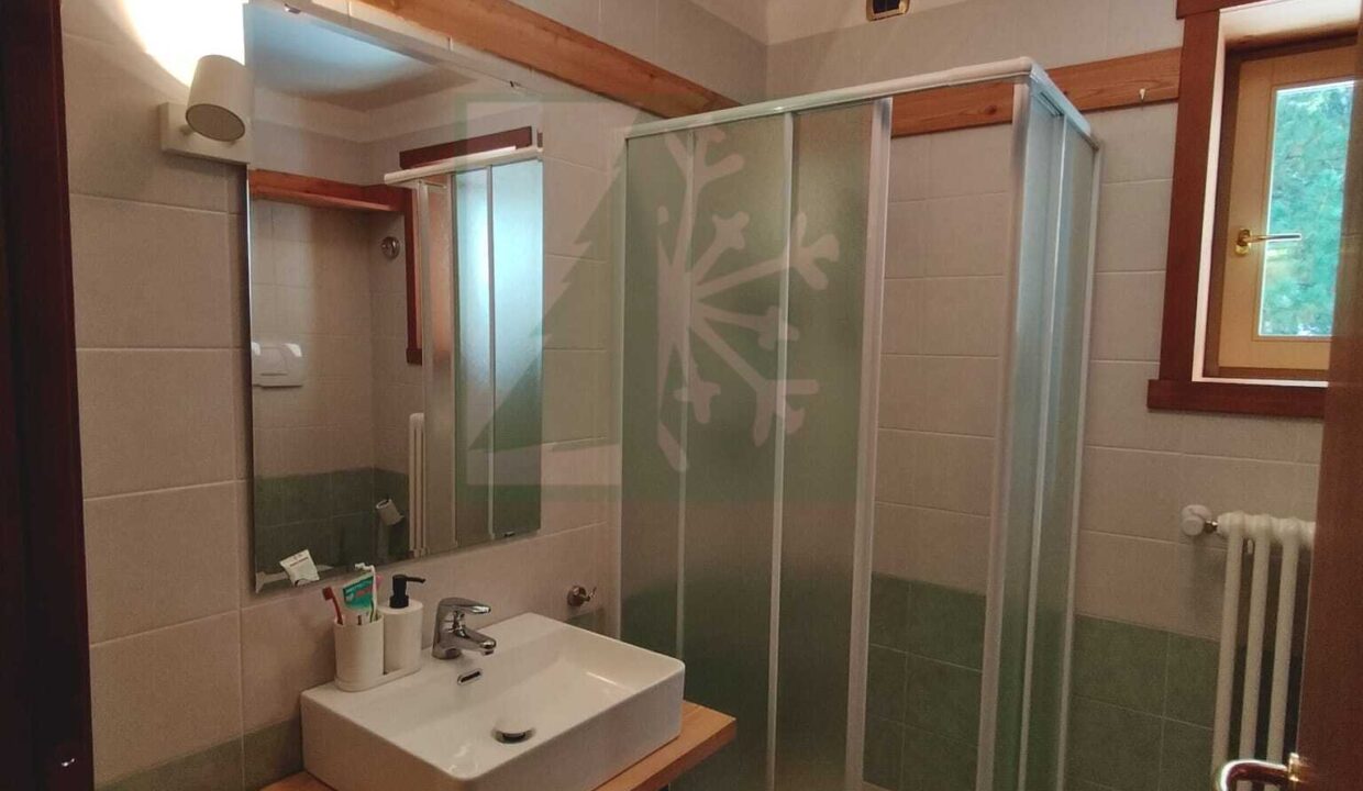 WhatsApp Image 2026-03-03 at 15.23.59 (2)