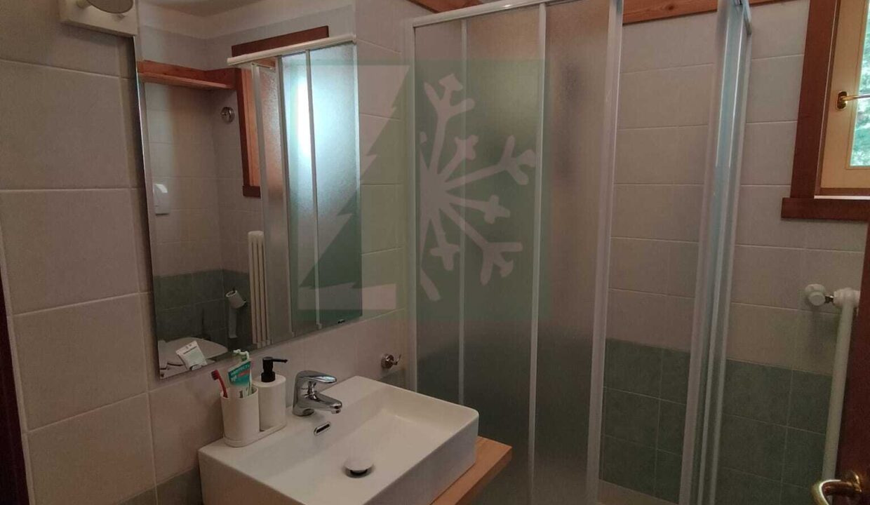 WhatsApp Image 2026-03-03 at 15.23.59 (3)