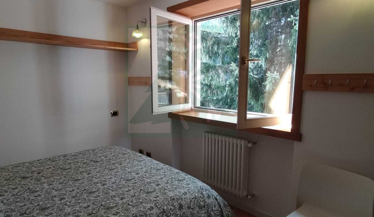 WhatsApp Image 2026-03-03 at 15.24.04 (1)