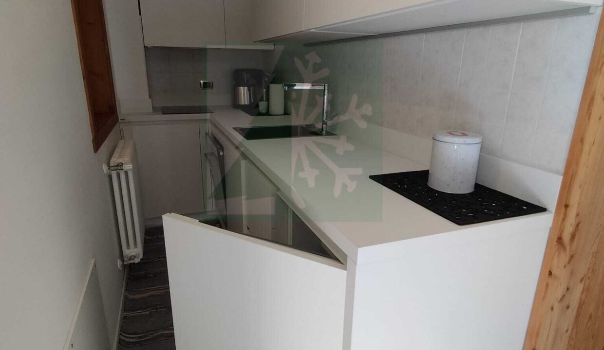 WhatsApp Image 2026-03-03 at 15.24.04