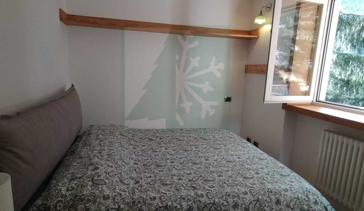 WhatsApp Image 2026-03-03 at 15.24.04 (2)