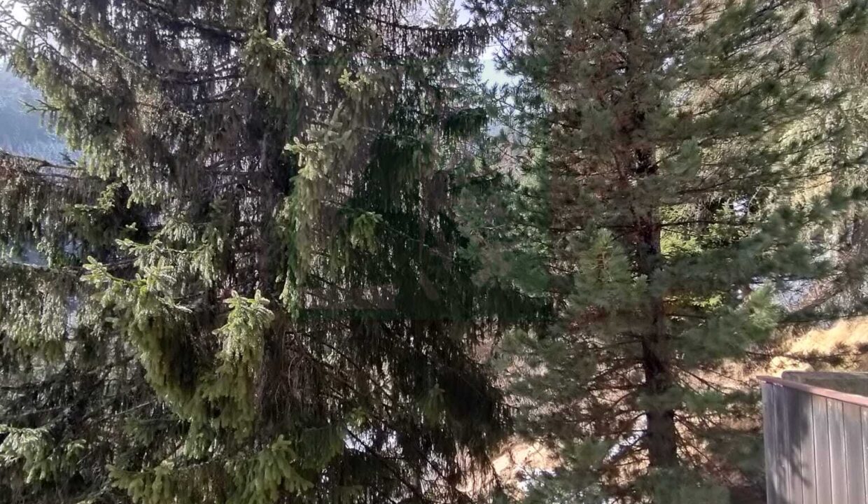 WhatsApp Image 2026-03-03 at 15.24.04 (3)