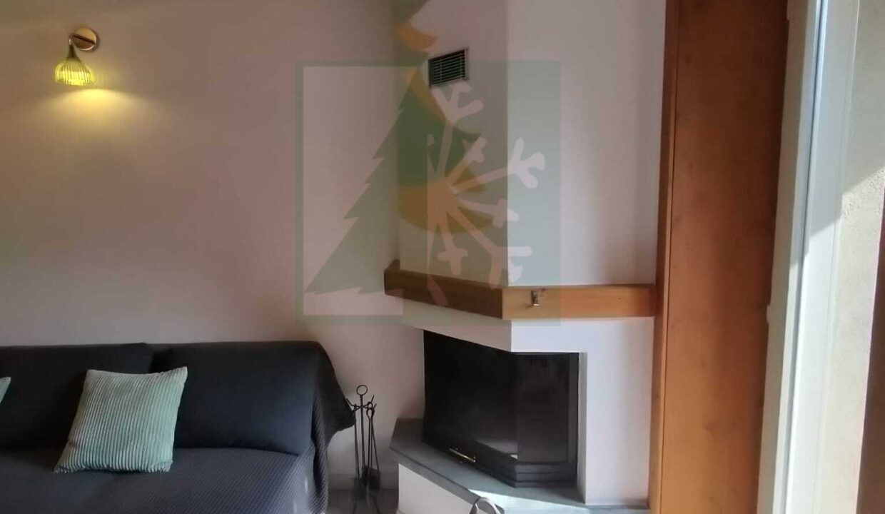 WhatsApp Image 2026-03-03 at 15.24.05