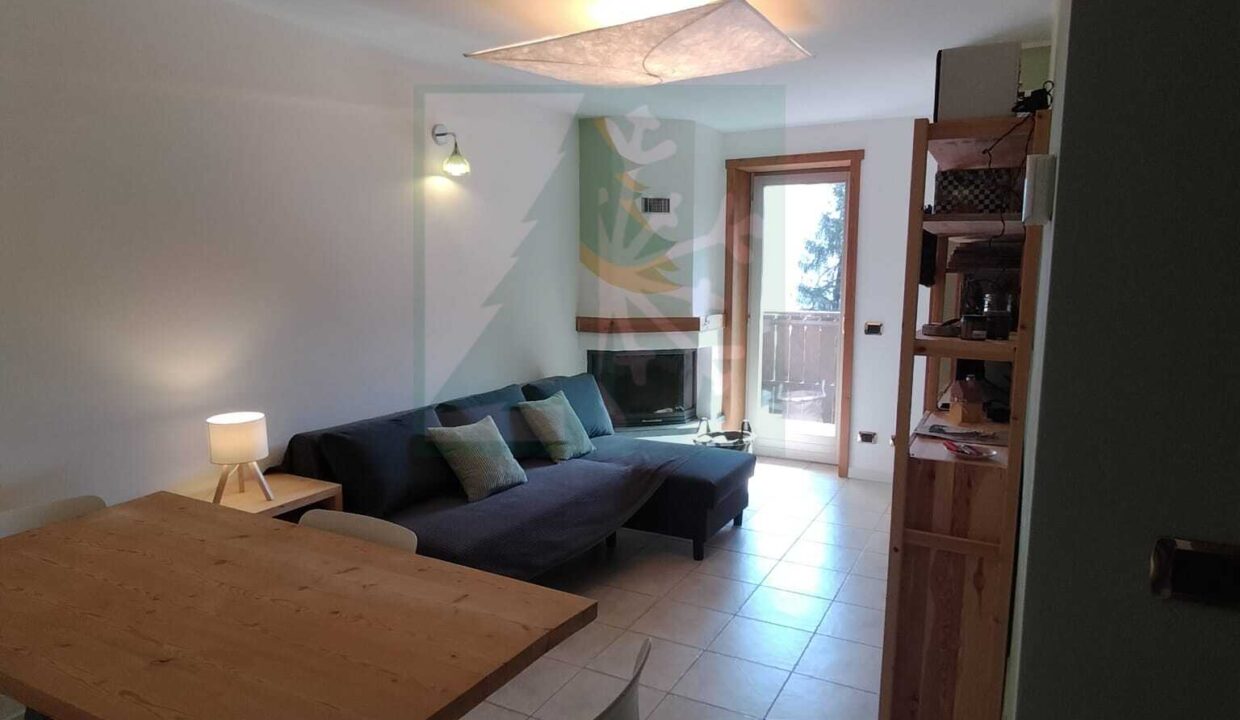 WhatsApp Image 2026-03-03 at 15.24.05 (2)