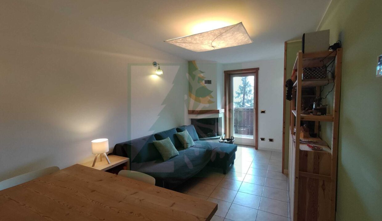 WhatsApp Image 2026-03-03 at 15.24.05 (4)