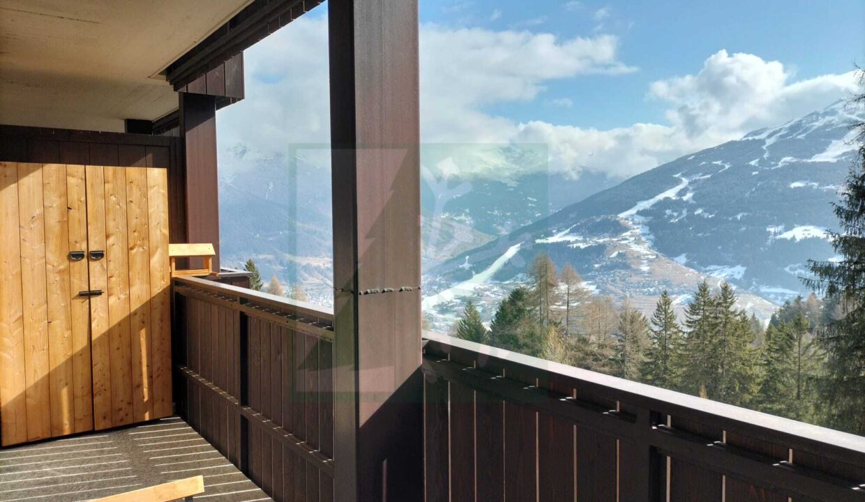 WhatsApp Image 2026-03-03 at 15.24.05 (5)