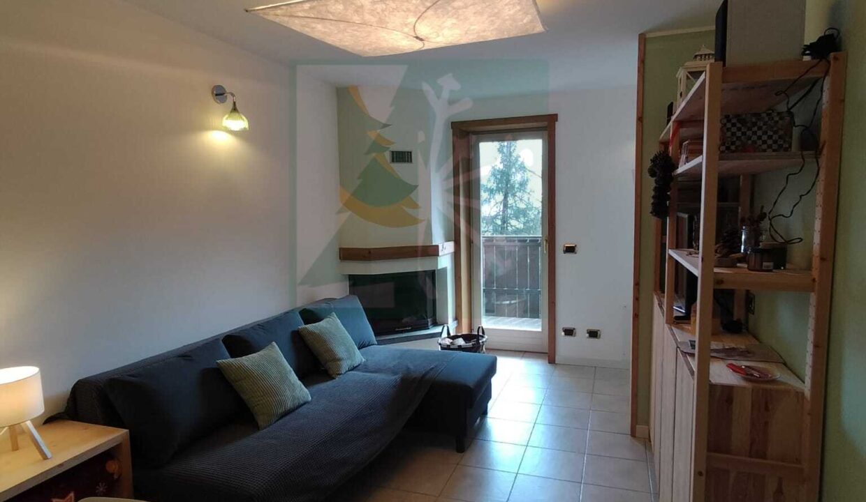 WhatsApp Image 2026-03-03 at 15.24.05 (8)