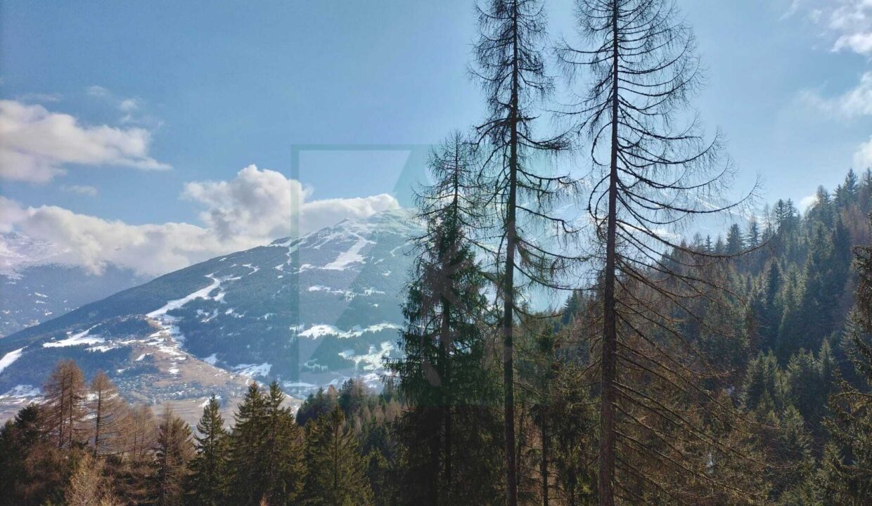 WhatsApp Image 2026-03-03 at 15.24.05 (9)