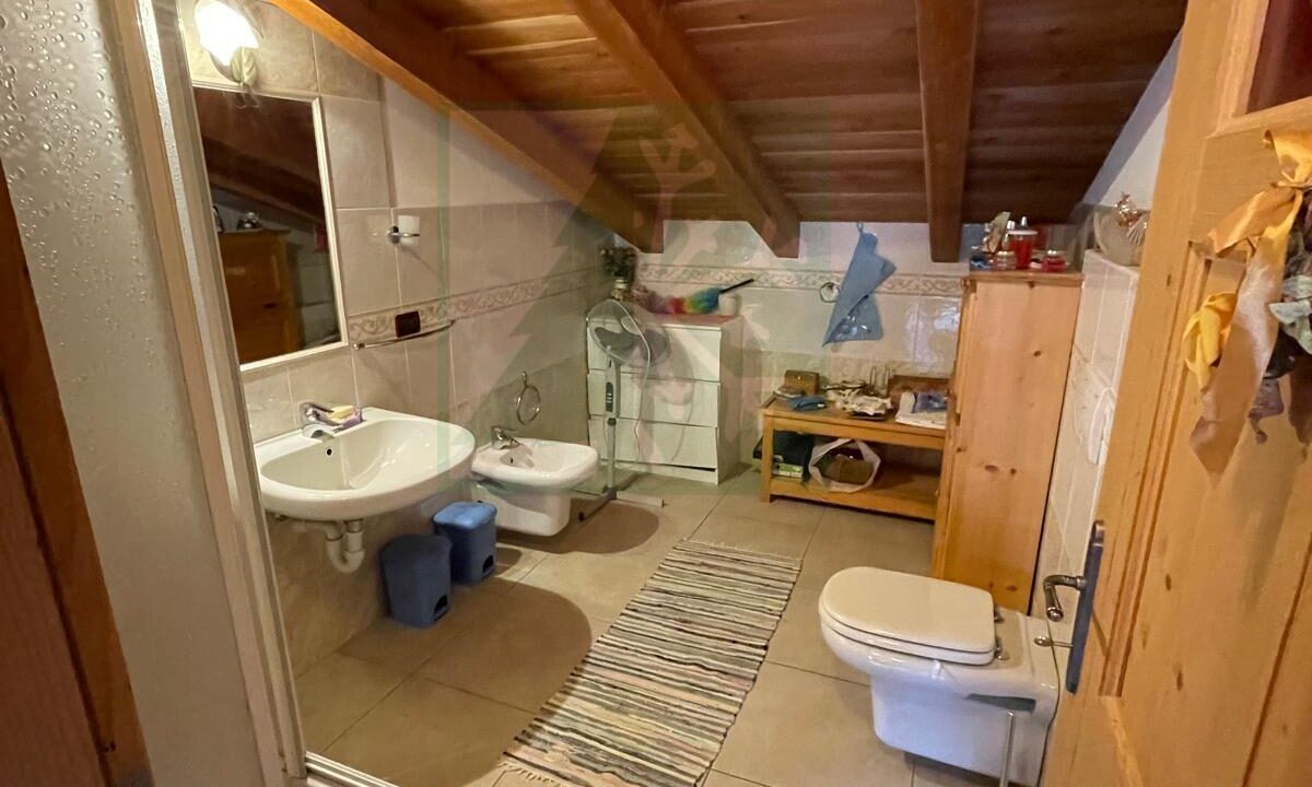 PHOTO-2026-04-23-11-21-51