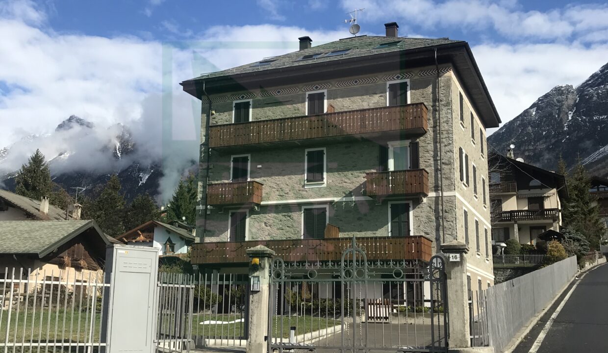 IMG_7805