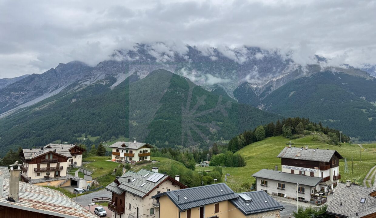 WhatsApp Image 2026-08-15 at 21.16.39